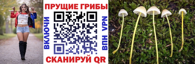 Купить  Петухово  Псилоцибиновые грибы мухоморы 